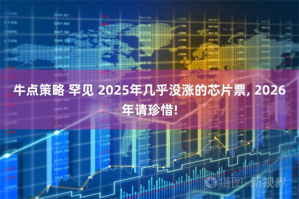 牛点策略 罕见 2025年几乎没涨的芯片票, 2026年请珍惜!