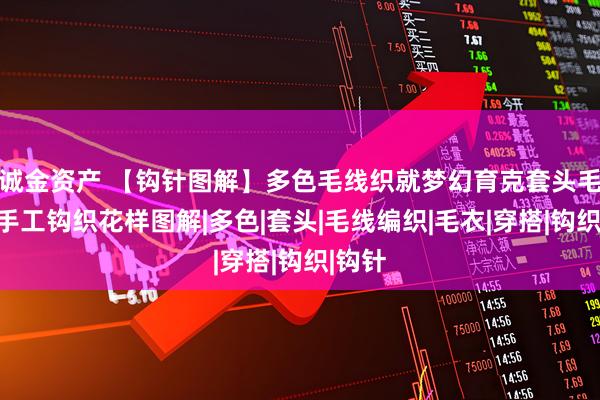 诚金资产 【钩针图解】多色毛线织就梦幻育克套头毛衣，手工钩织花样图解|多色|套头|毛线编织|毛衣|穿搭|钩织|钩针